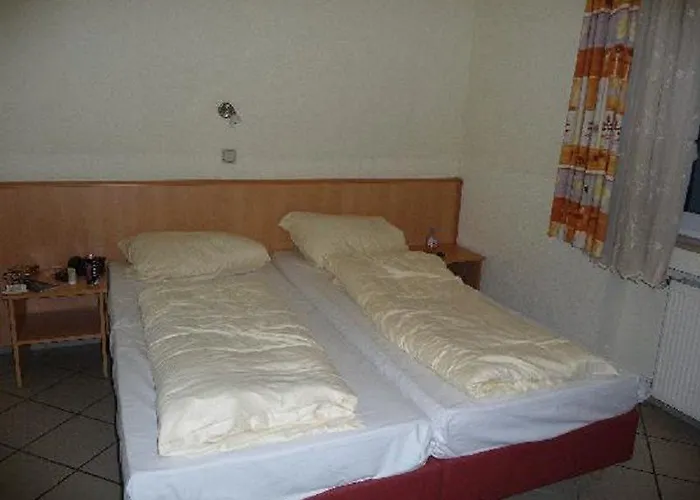 Elite An Der Universitaet