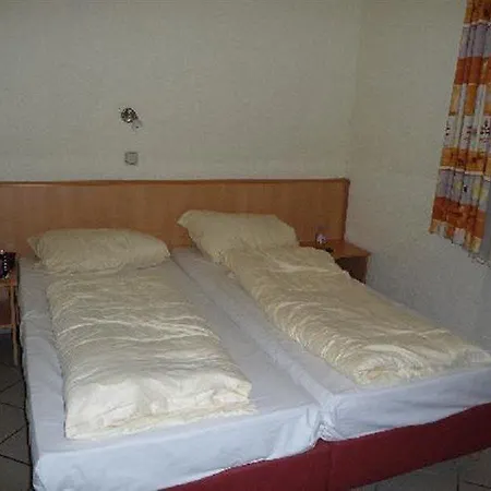 Elite An Der Universitaet